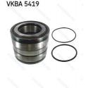 VKBA5419