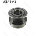 VKBA5441