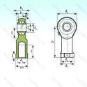 TSF 10 BB