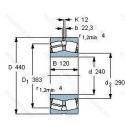 22248CC/C3W33
