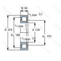 NUP2224-E-M1-C3