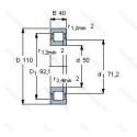 NUP2310ECP