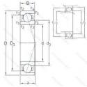 VEB 80/NS 7CE1