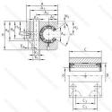 KGNC50-C-PP-AS
