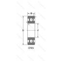 QJ217-N2-MPA-C3