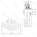 UCFL207