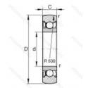 LR606NPPU