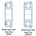 6007ZE NR