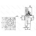 UCFL218D1