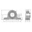 HCAK206-19