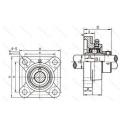 HCFS205-16