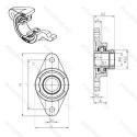 EXFL.212