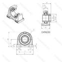 EXPAE.211