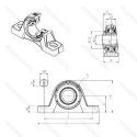 UKPLE209H