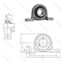 UP002