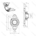 USFLE205