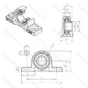USP206