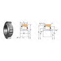 44131/44354