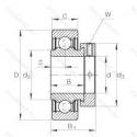 RAE45NPP FA106