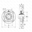 UCFCX17D1