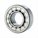 NUP2308-E-XL-M1-C3