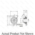 GVFTD1
