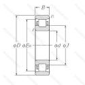 N2313
