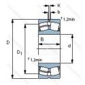 22344CC/W33