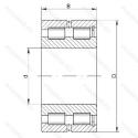 NNCF5024-V
