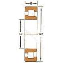 NJ2224