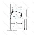 81575/81962