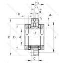 ZARF 55145 TN