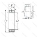 RSF-4964E4