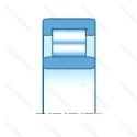RNU11604