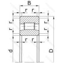 32444