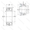 23964CAE4