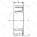 NCF2214-V