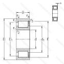 NCF3019-V